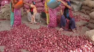 Government Lifts Minimum Export Price on Onions to Boost Exports