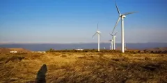 How Trump's Anti-Renewable Energy Policies Could Impact India's Solar Exports by 2025?