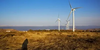 How Trump's Anti-Renewable Energy Policies Could Impact India's Solar Exports by 2025?