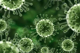 Second Nipah Virus Death Reported in Kerala, India: Authorities on High Alert